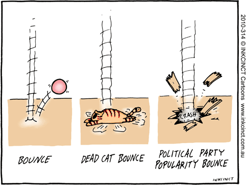 2010-314-political-party-dead-cat-bounce.gif